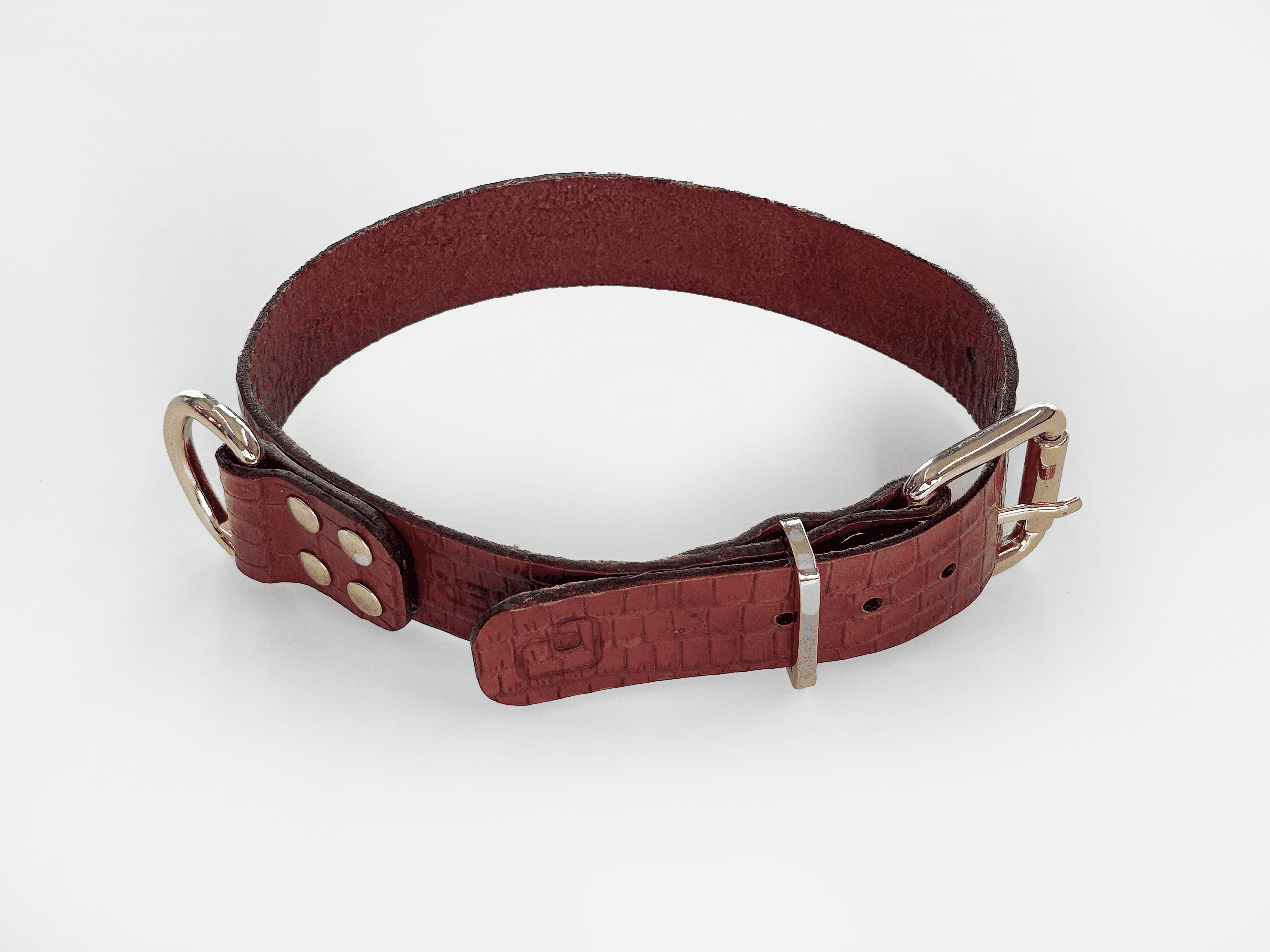 Imagem de trás da Pet Cher astro