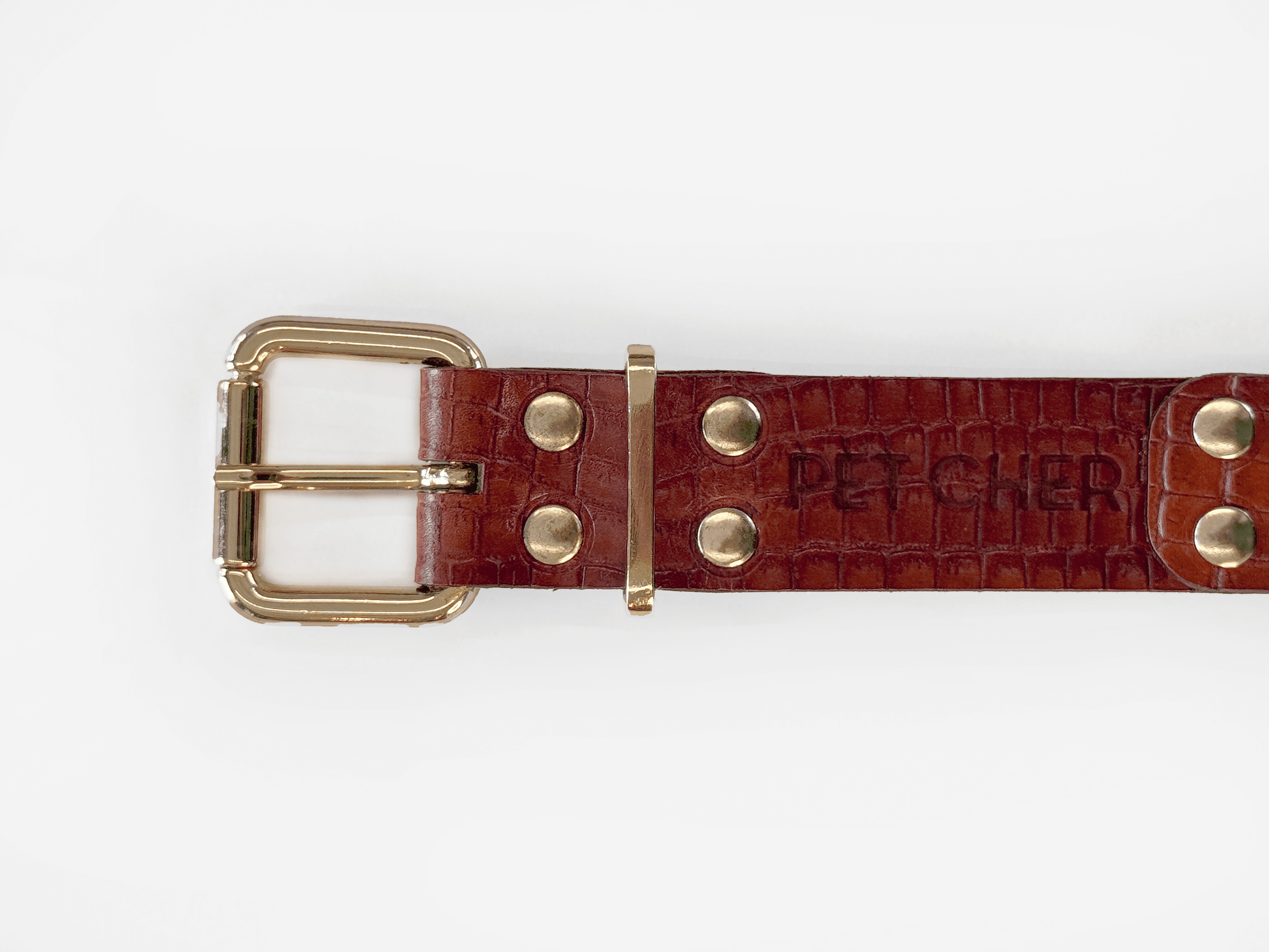 Imagem de trás da Pet Cher astro