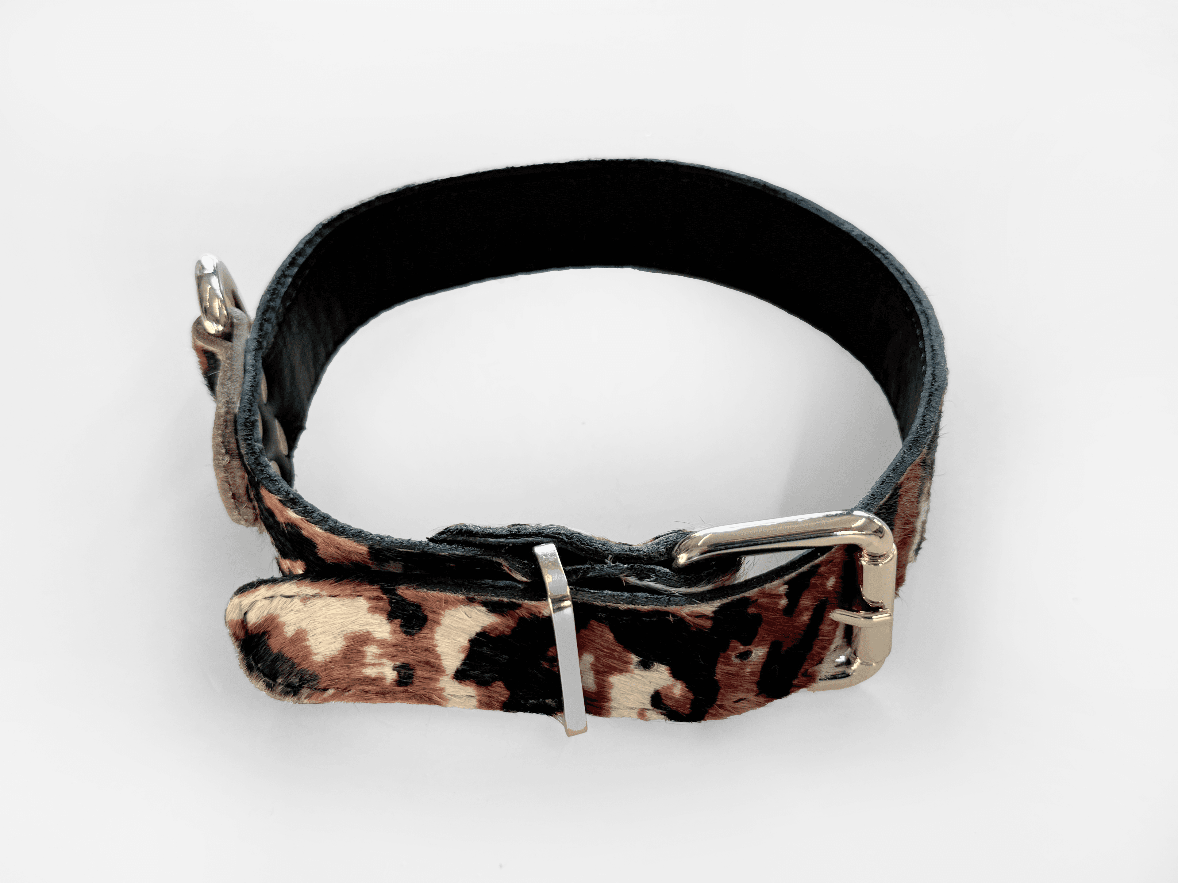 Imagem de trás da Pet Cher bolt