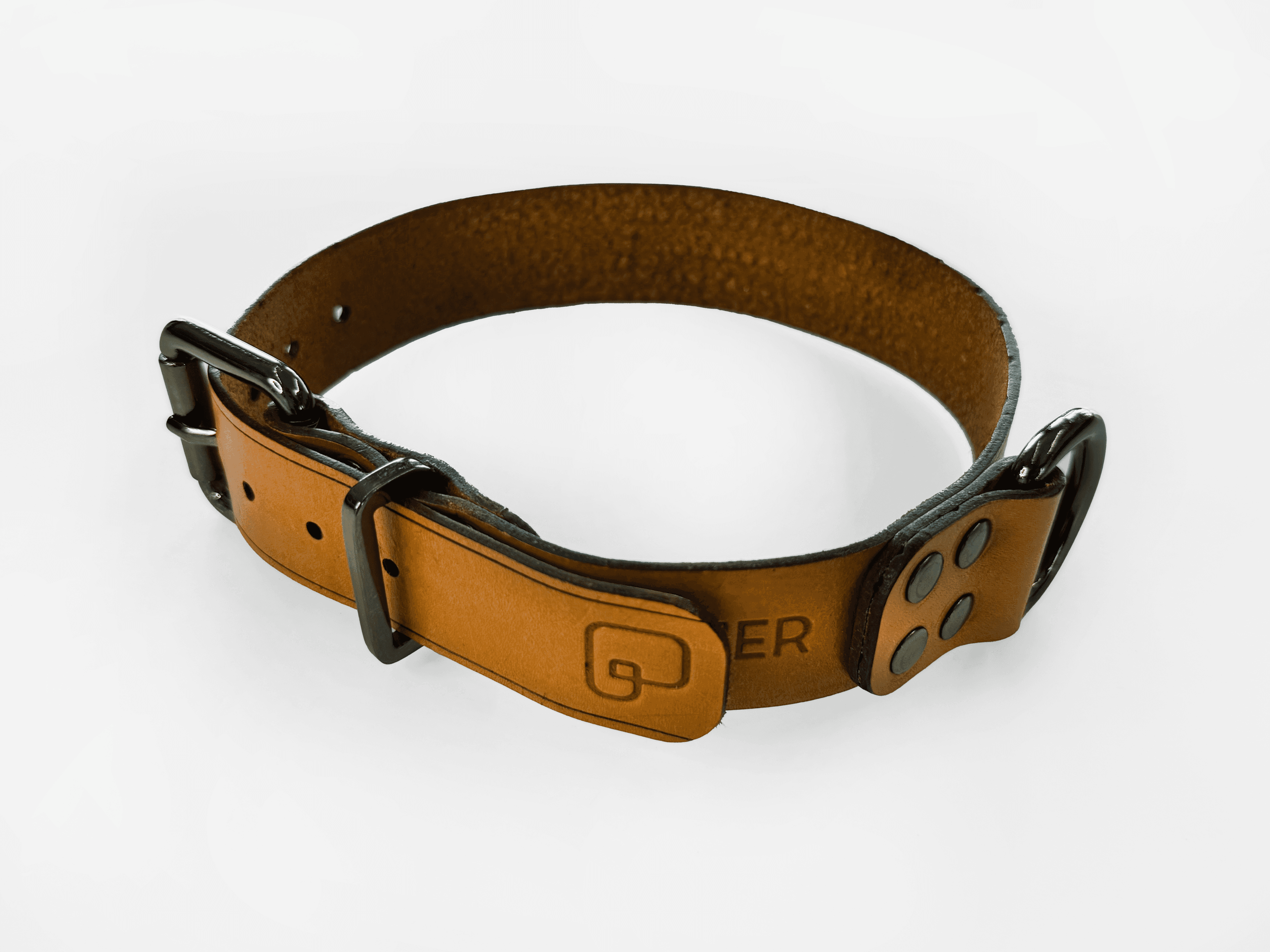 Imagem de trás da Pet Cher max