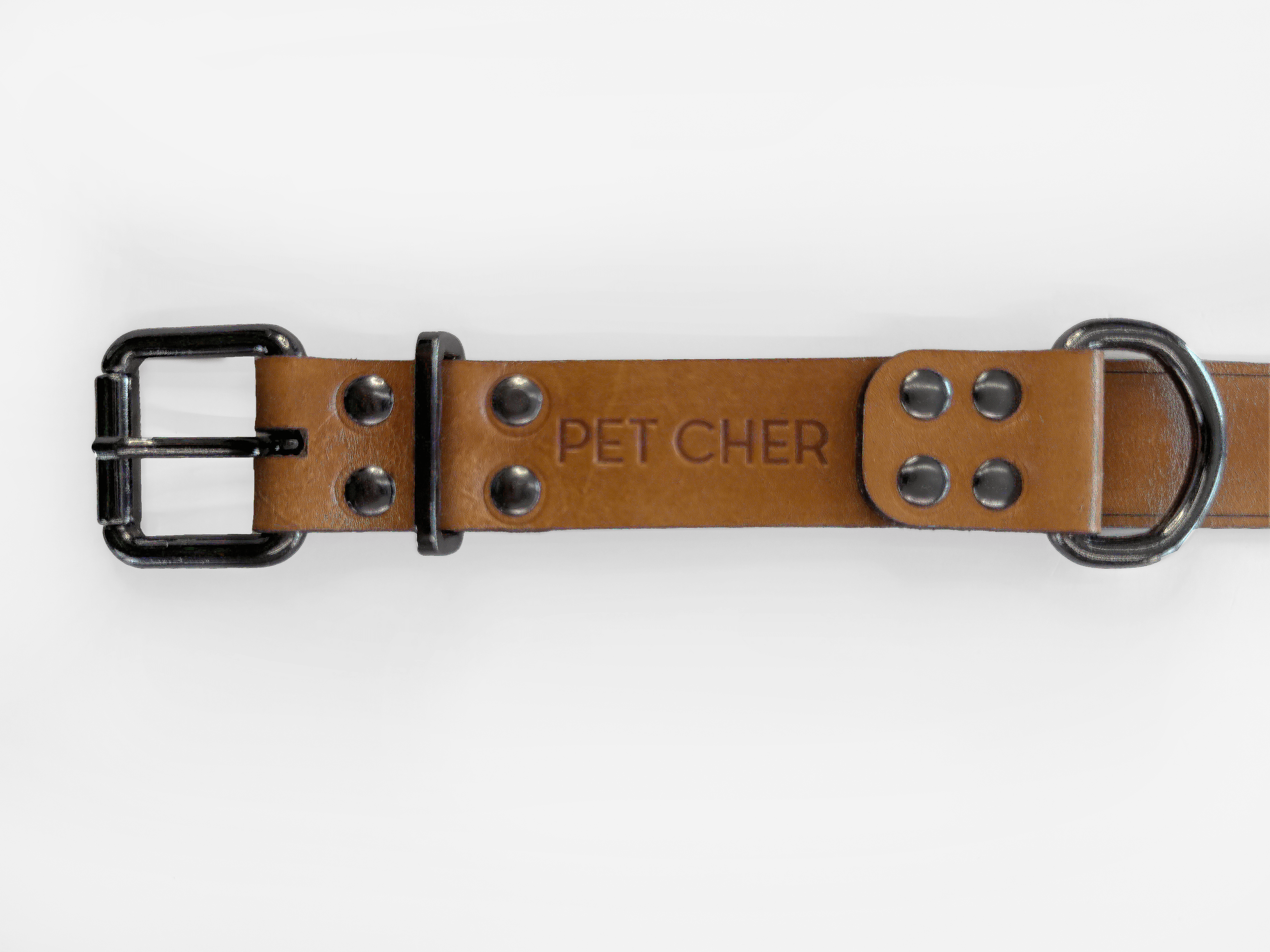 Imagem de trás da Pet Cher max