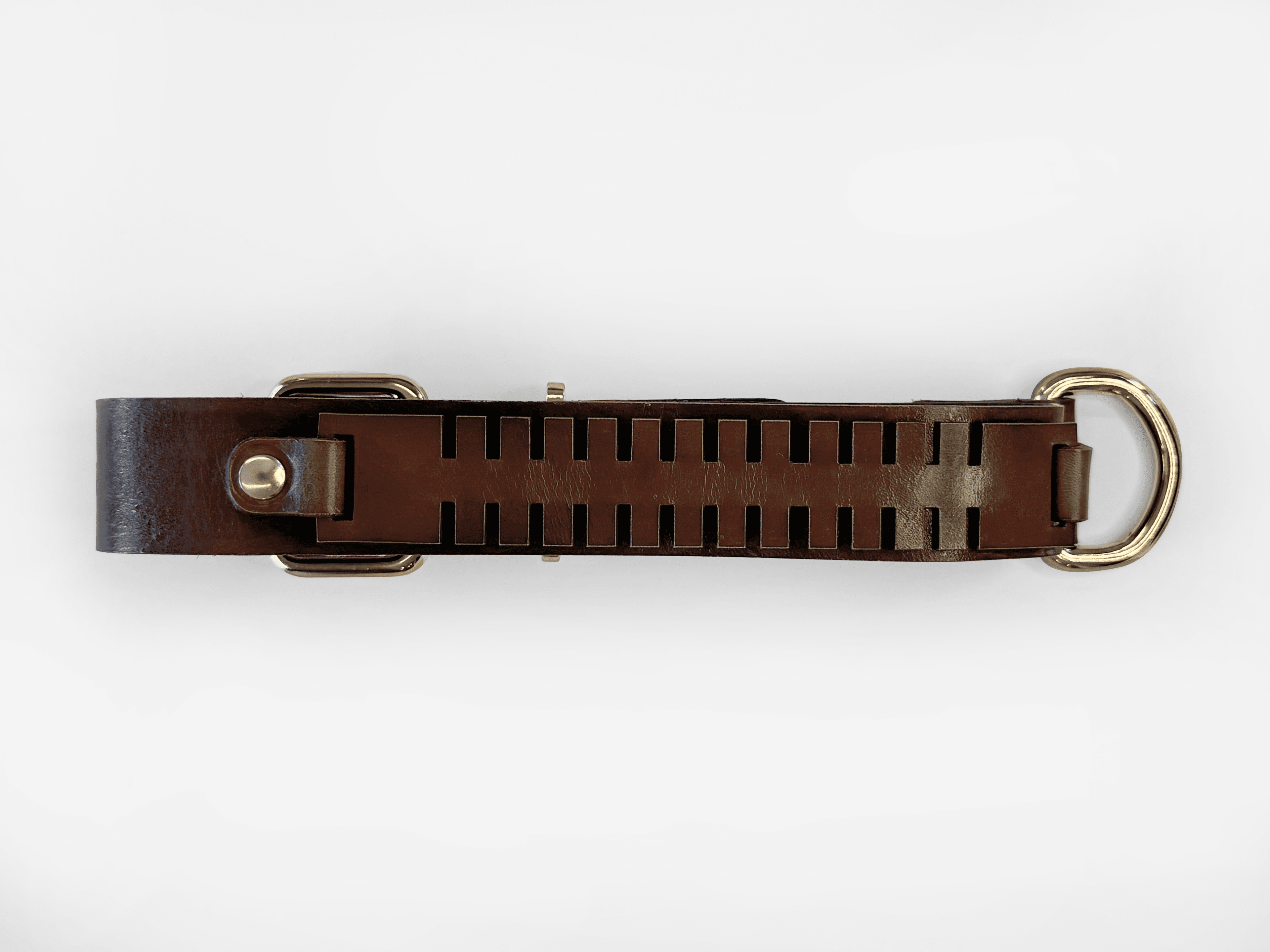 Imagem de trás da Pet Cher pandora