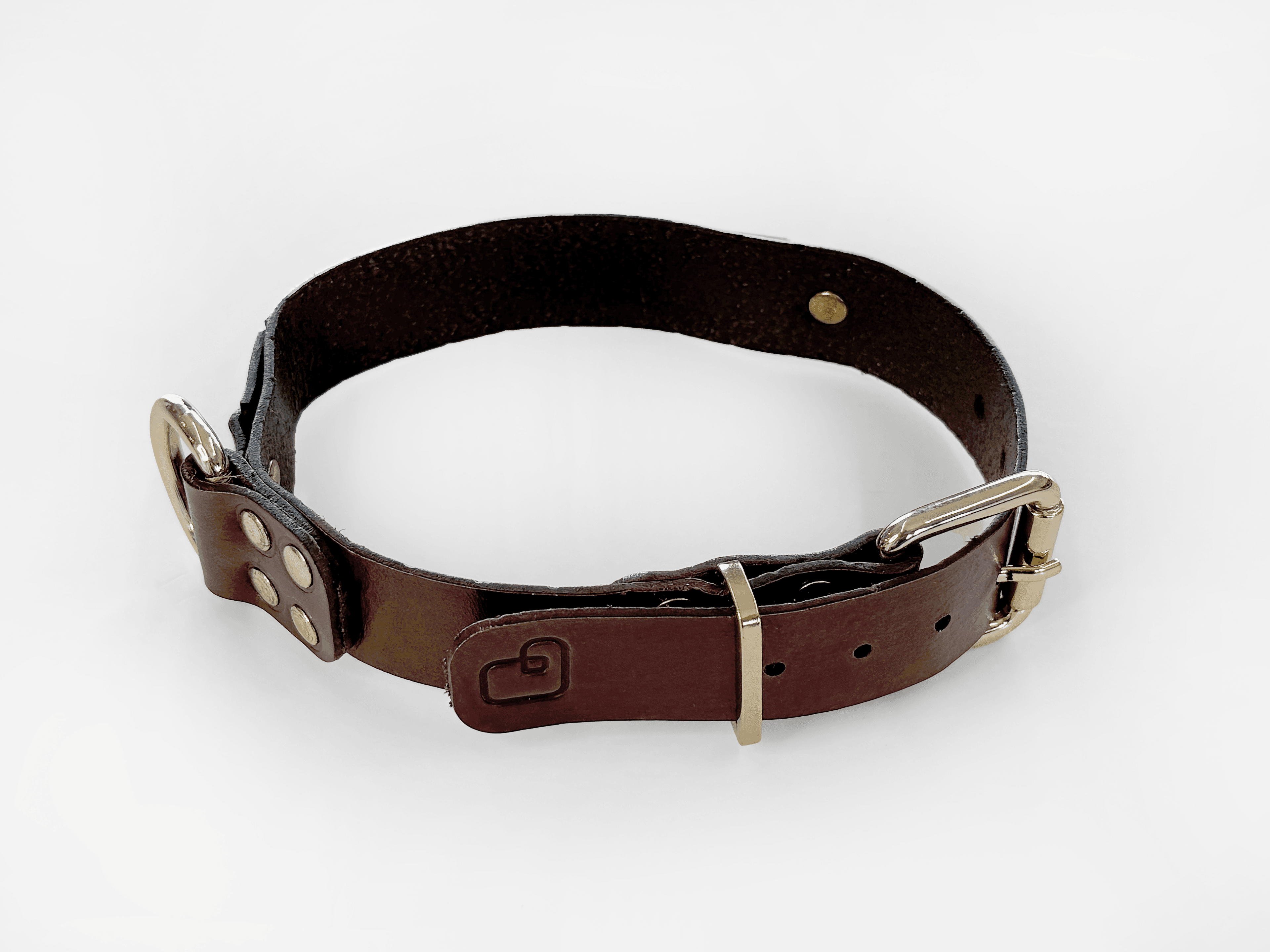 Imagem de trás da Pet Cher pandora