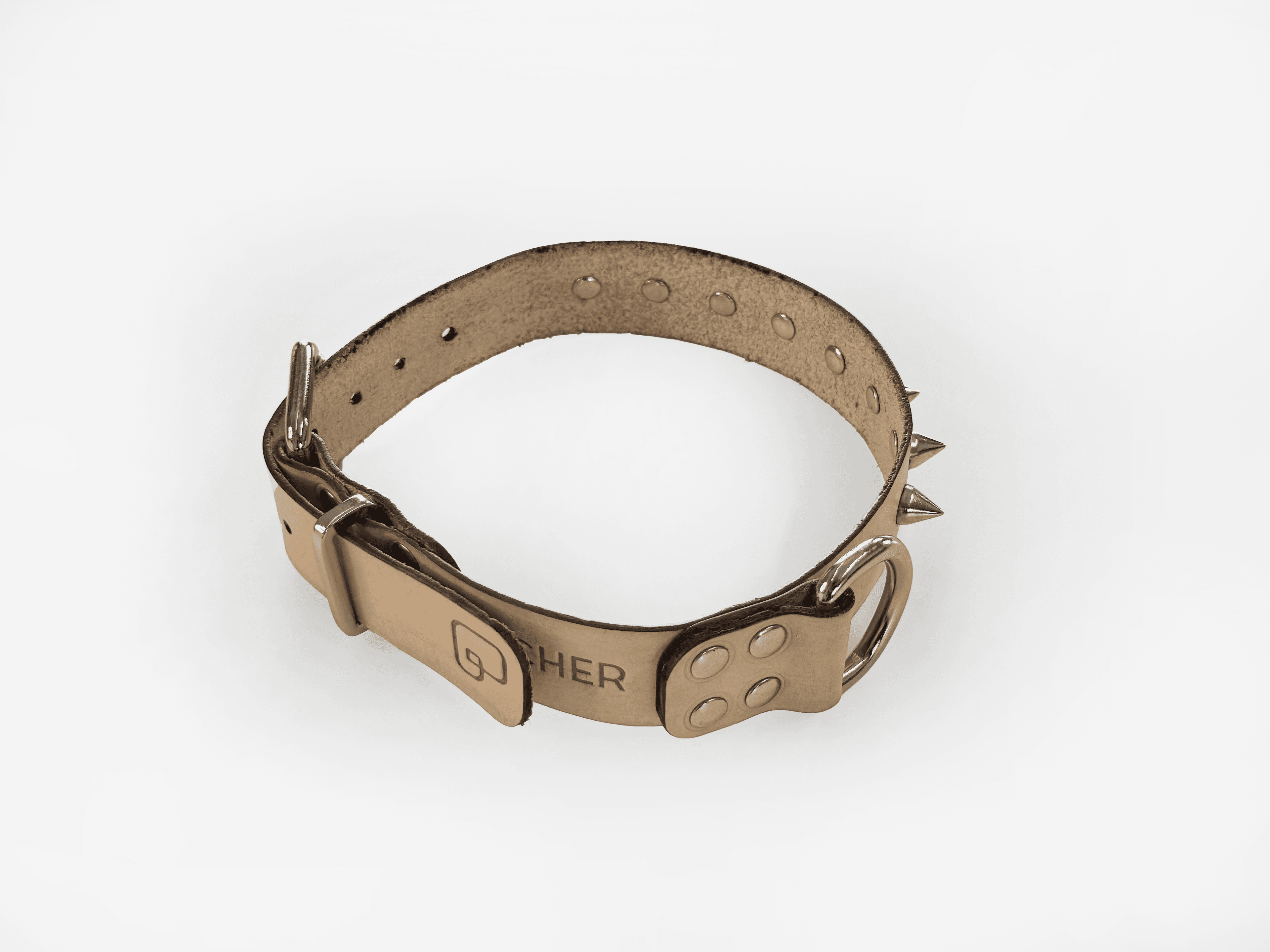 Imagem de trás da Pet Cher rock