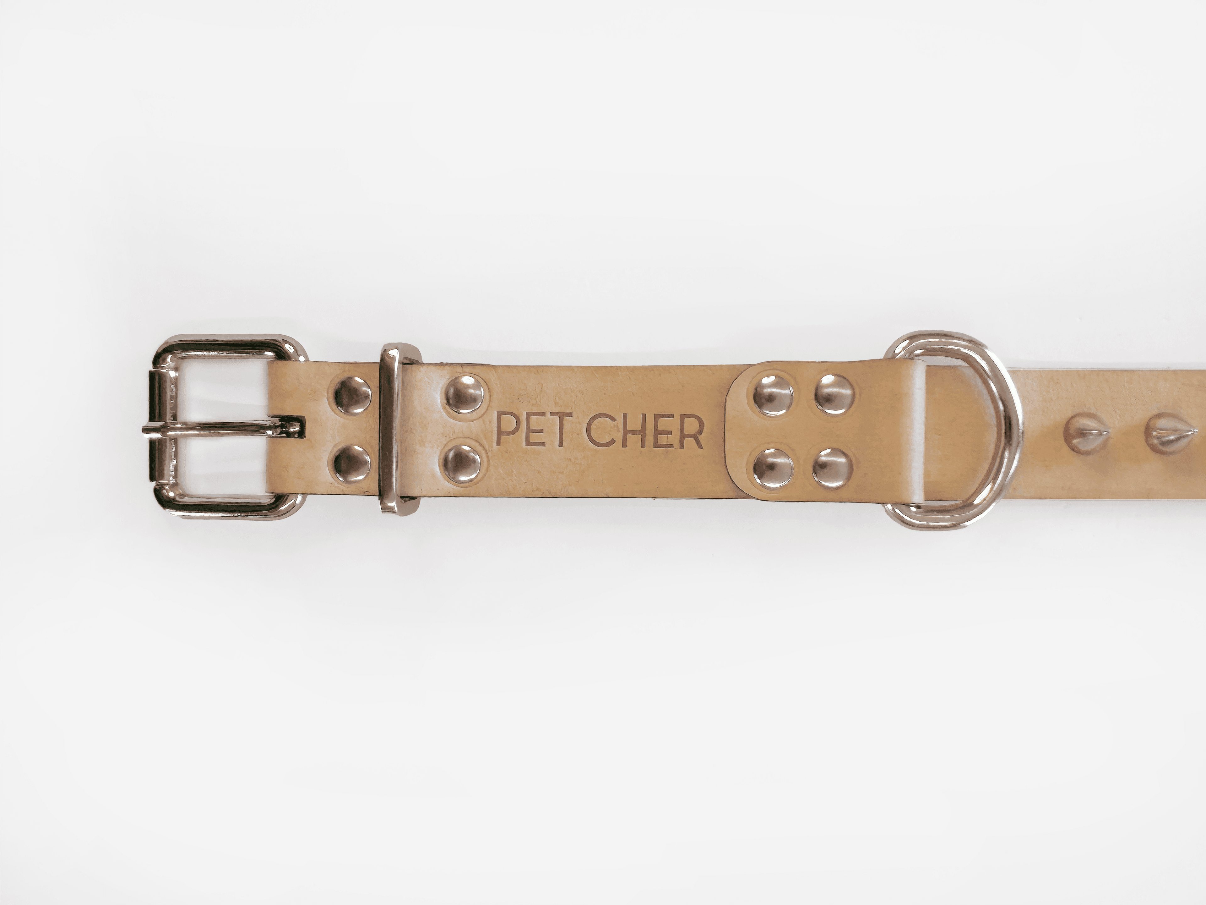 Imagem de trás da Pet Cher rock