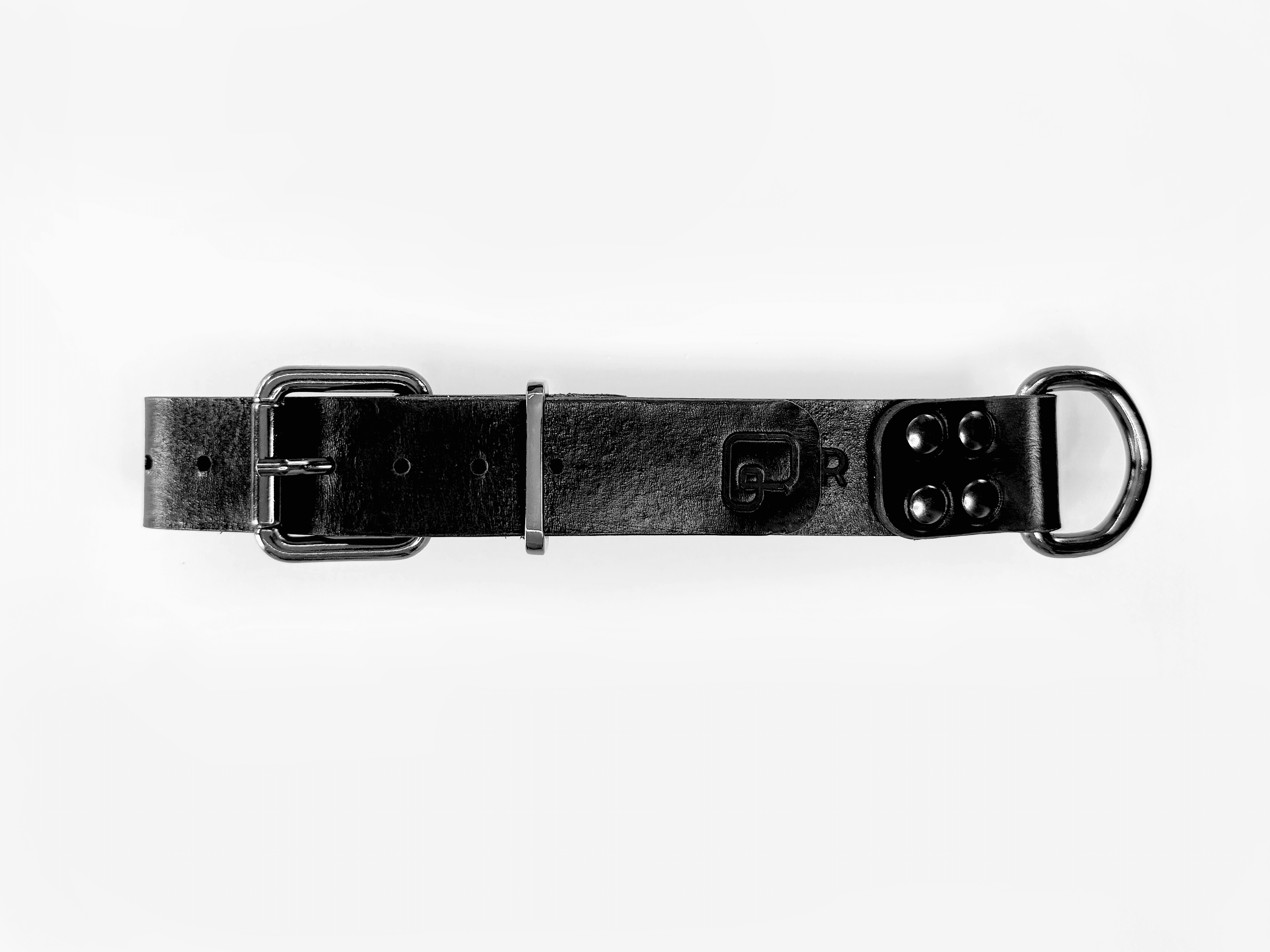 Imagem de frente da Pet Cher tyson