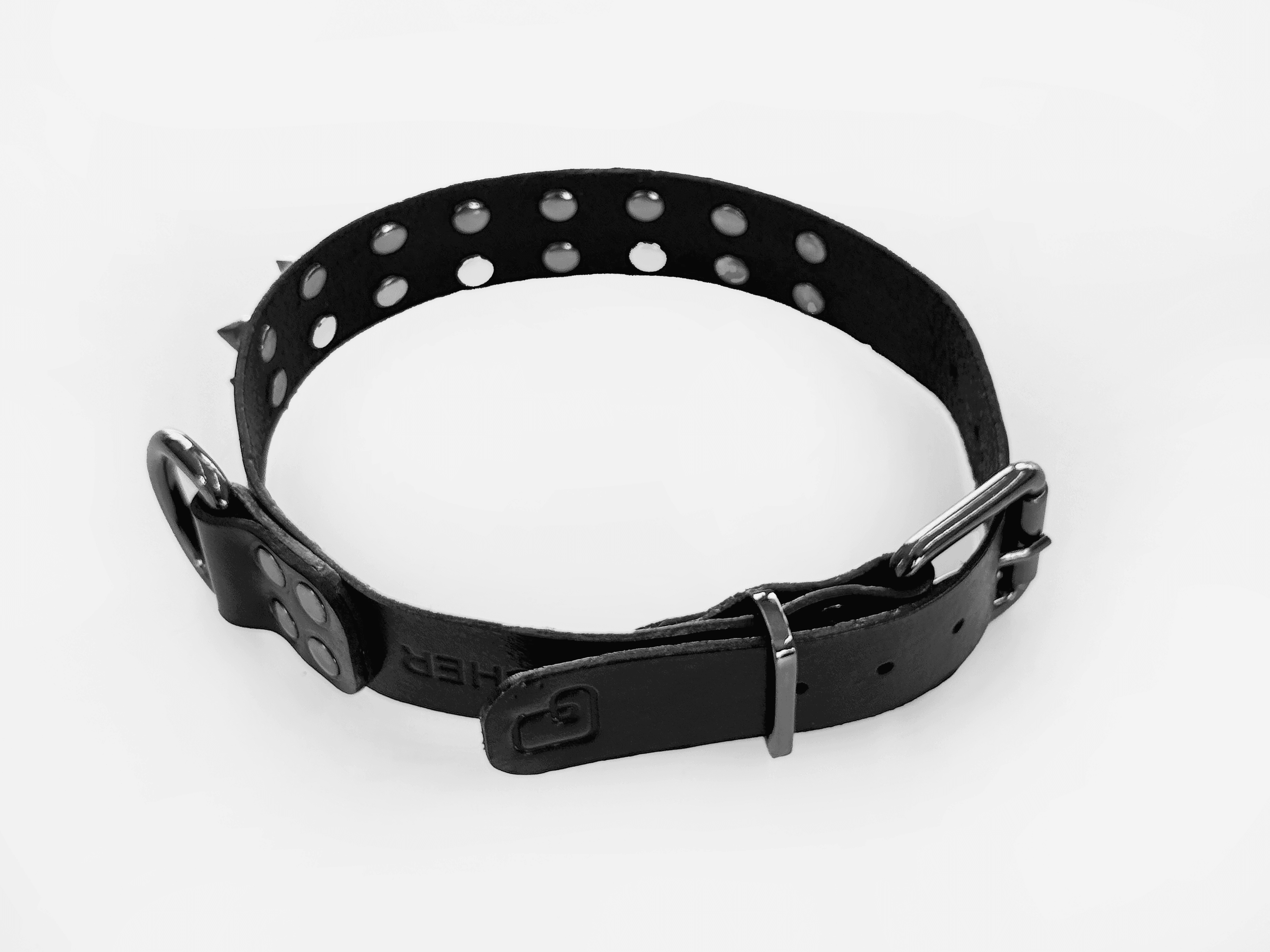 Imagem de trás da Pet Cher tyson