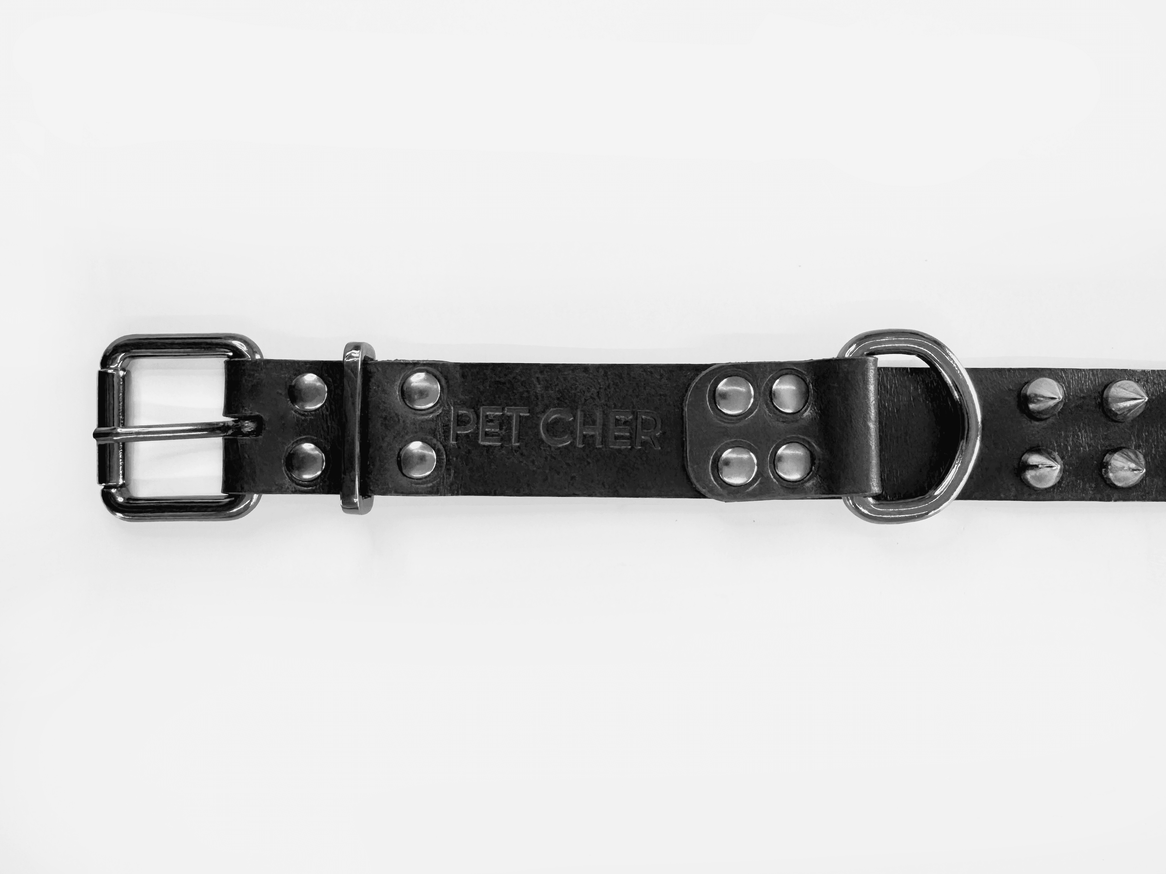 Imagem de trás da Pet Cher tyson