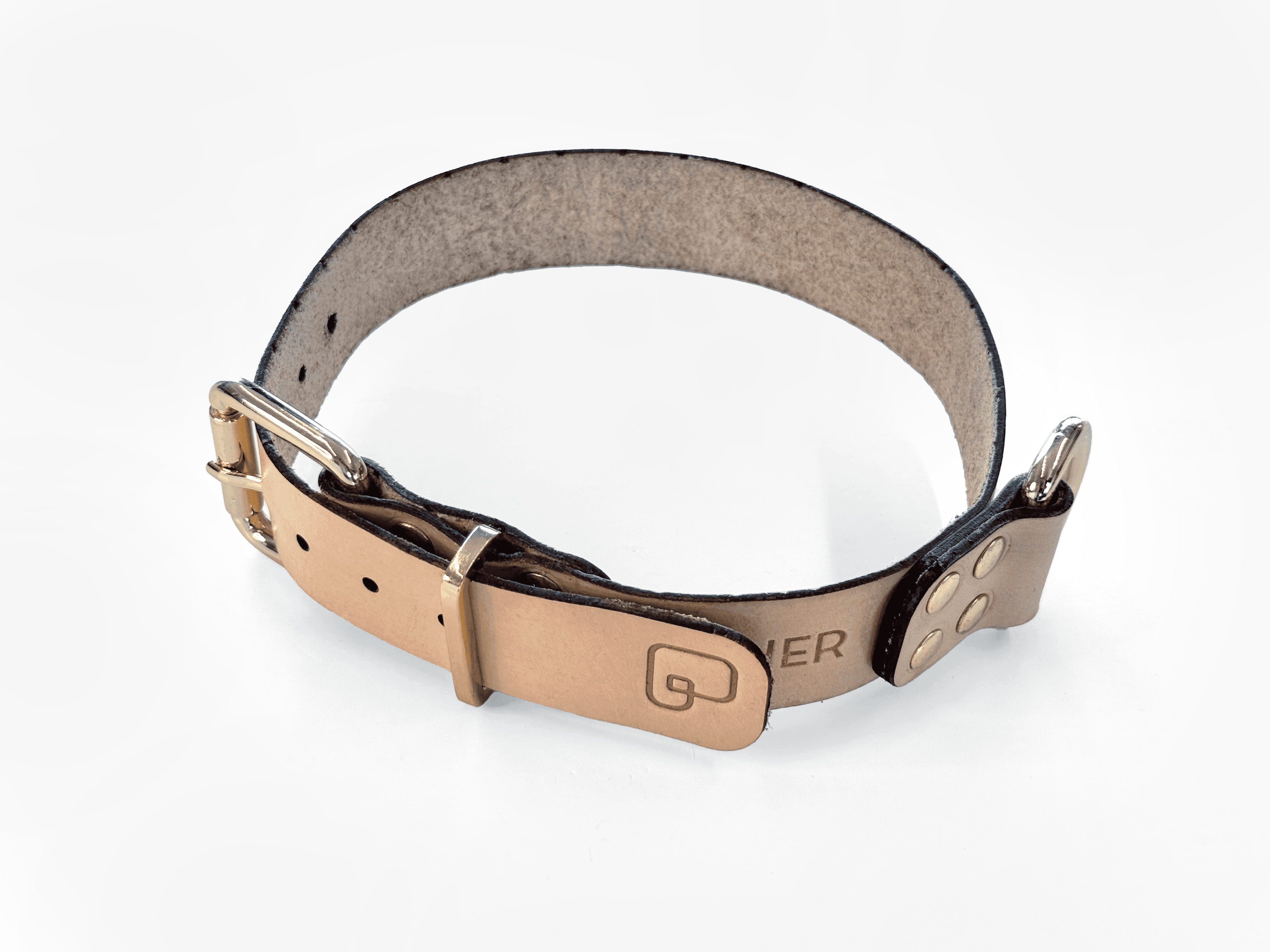 Imagem de trás da Pet Cher Apolo