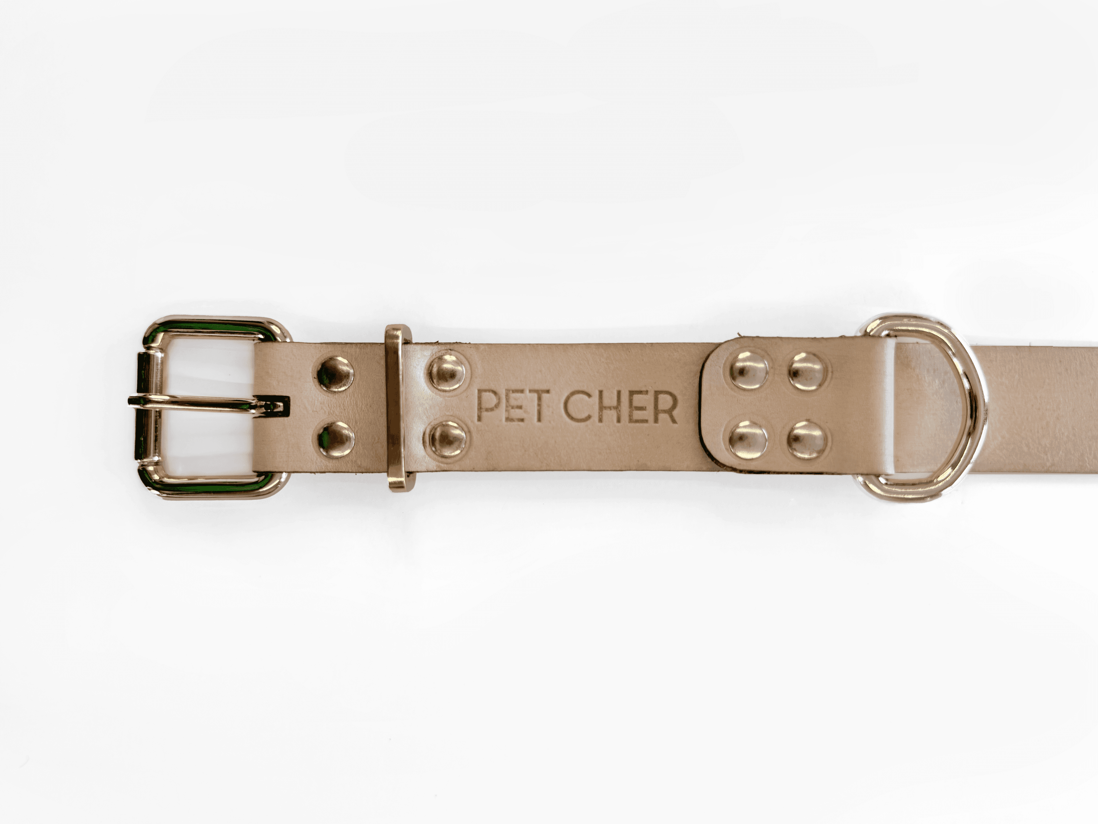 Imagem de trás da Pet Cher Apolo