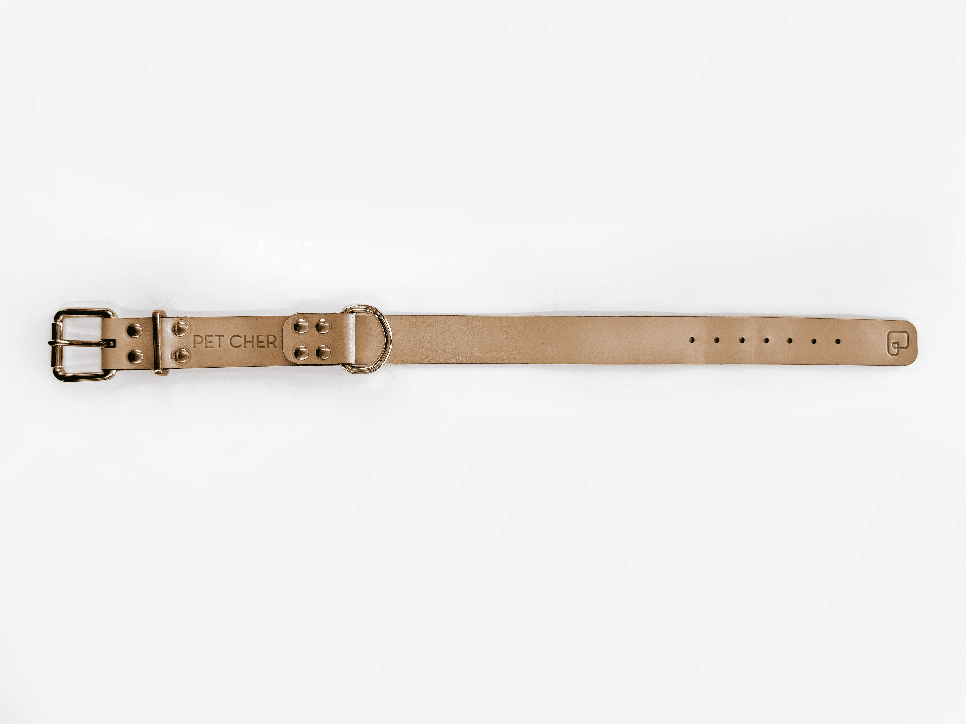 Imagem de trás da Pet Cher Apolo